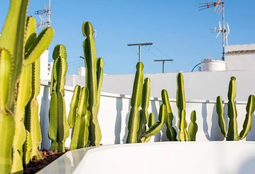 Apartamentos Y Estudios Céntricos Conil Home Suite