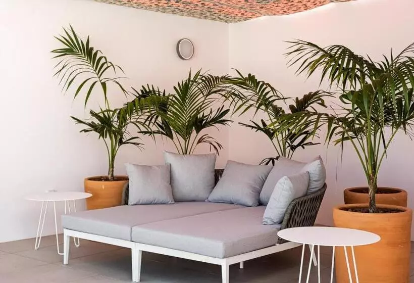 Apartamentos Y Estudios Céntricos Conil Home Suite