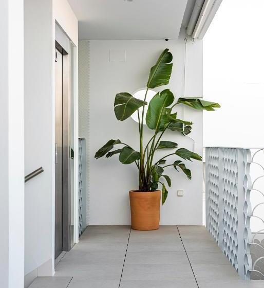 Apartamentos Y Estudios Céntricos Conil Home Suite