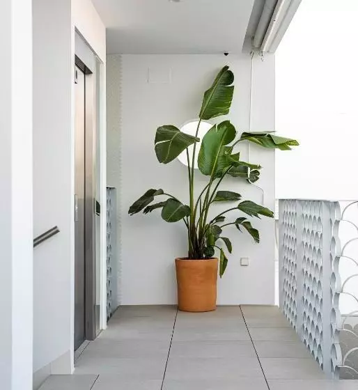 Apartamentos Y Estudios Céntricos Conil Home Suite