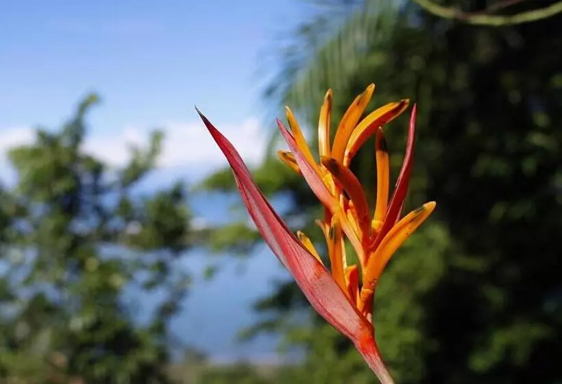 Hotelli El Paraiso Azul
