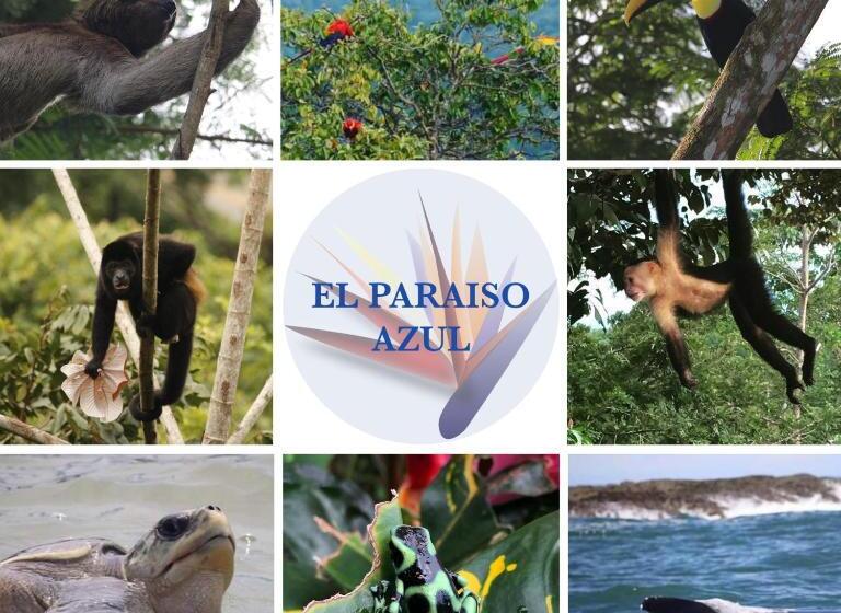 ホテル El Paraiso Azul