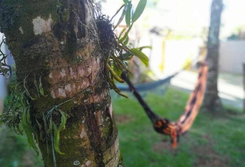 Pé De Serra Pub Hostel