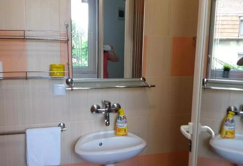 ペンション къща за гости Dani Dream