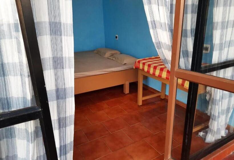 پانسیون Manshore Bay