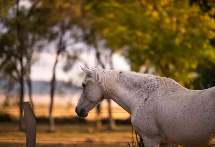 호텔 Balneario De Corconte