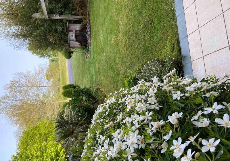 בית מלון כפרי Ibis Styles Pontivy Centre Bretagne