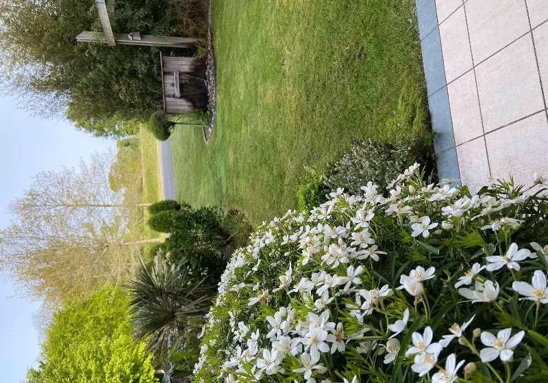 Отель Ibis Styles Pontivy Centre Bretagne