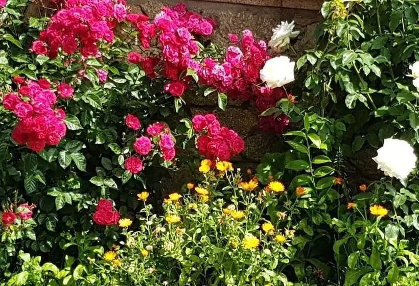 Сельский отель Solar Dos Marcos Rural Accommodation