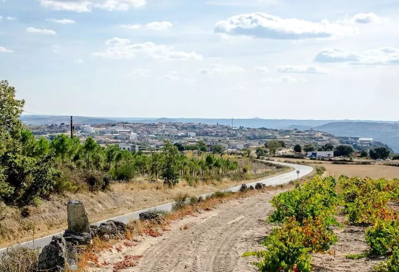 Сельский отель Solar Dos Marcos Rural Accommodation