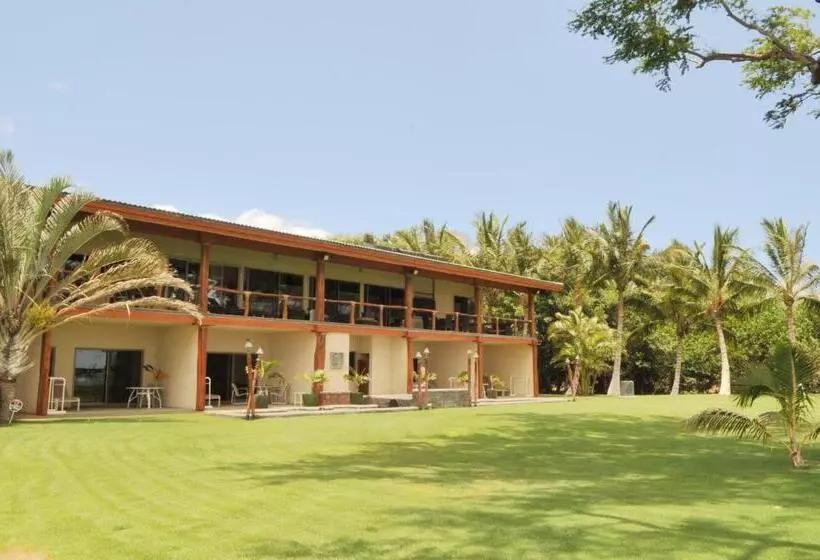 تختخواب و صبحانه Aloha Aku - Honu 2