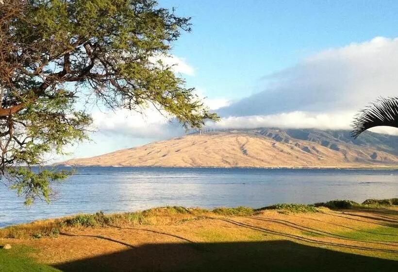 تختخواب و صبحانه Aloha Aku - Honu 2