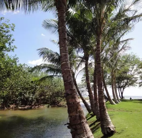 تختخواب و صبحانه Aloha Aku - Honu 2