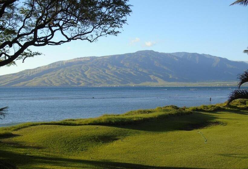 住宿加早餐  Aloha Aku - Honu 2