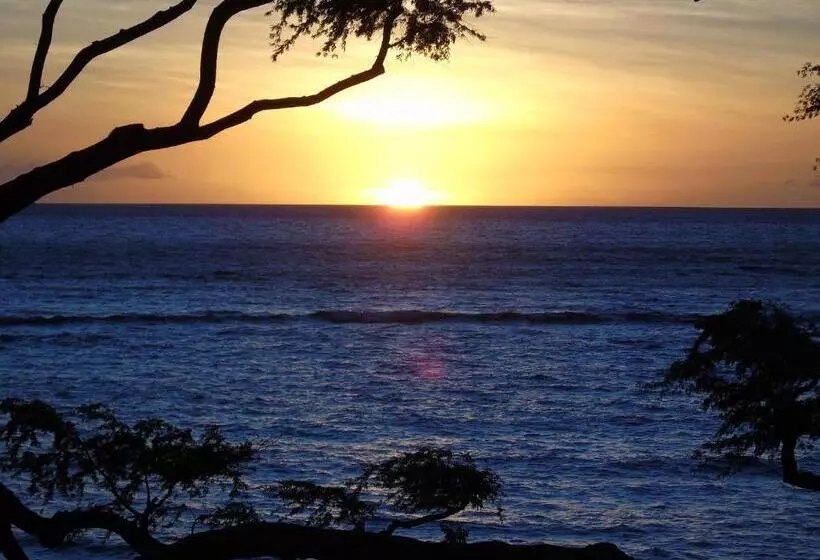 تختخواب و صبحانه Aloha Aku - Honu 2