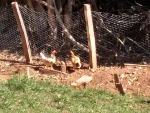 Aamiaismajoitus (B&B) Pousada Cantinho Da Mi & Teco