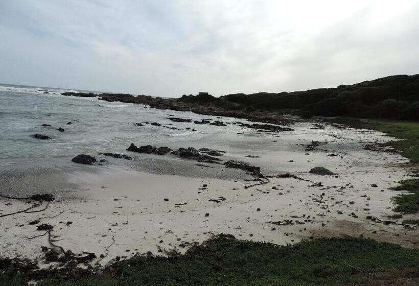 مبيت وإفطار Wave Dancer