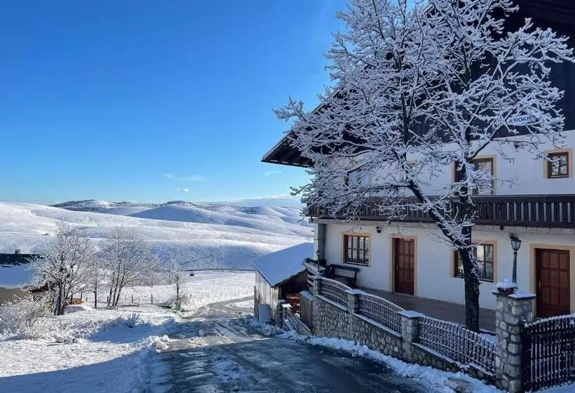 پانسیون Guest House Vila Djokic