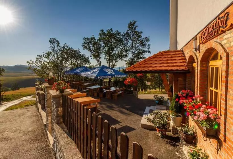 پانسیون Guest House Vila Djokic