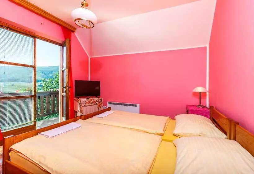 پانسیون Guest House Vila Djokic