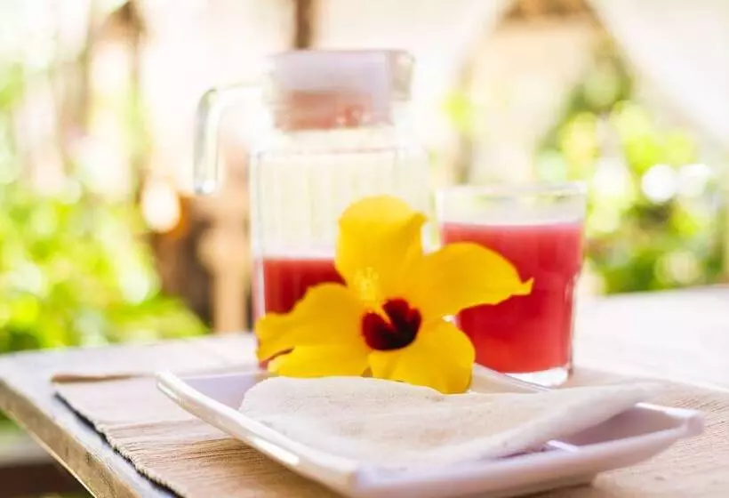 Majatalo Pousada Hibiscus