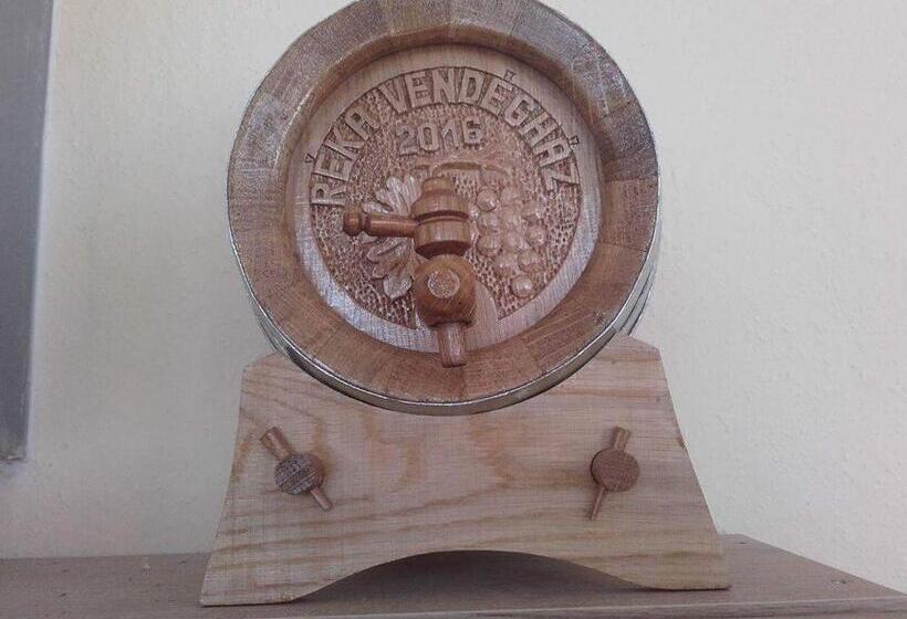 膳宿费 Réka Vendéghàz