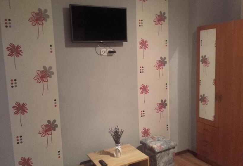 膳宿费 Réka Vendéghàz