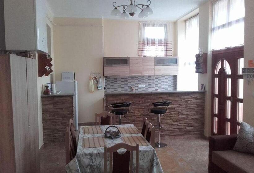 膳宿费 Réka Vendéghàz