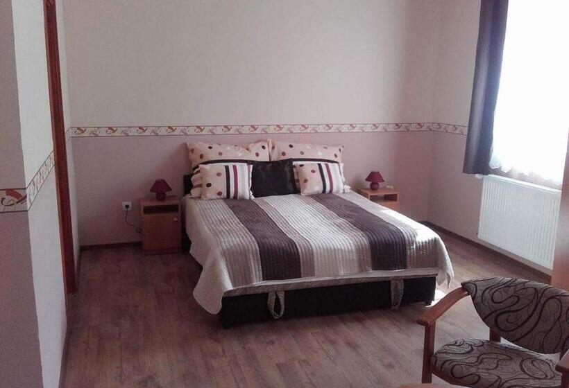 膳宿费 Réka Vendéghàz