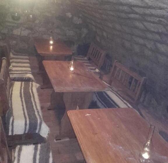 膳宿费 Réka Vendéghàz