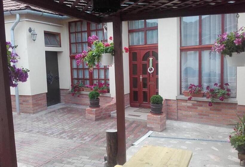 膳宿费 Réka Vendéghàz