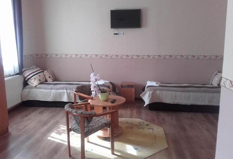 膳宿费 Réka Vendéghàz