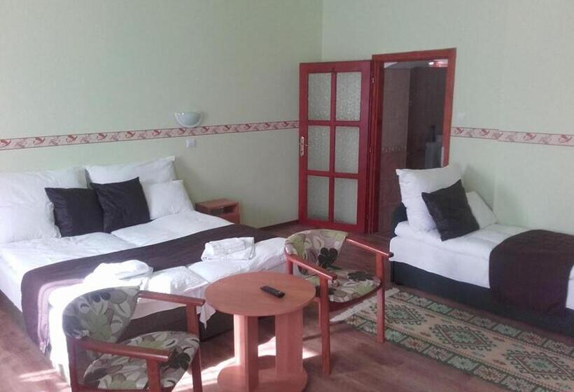 膳宿费 Réka Vendéghàz