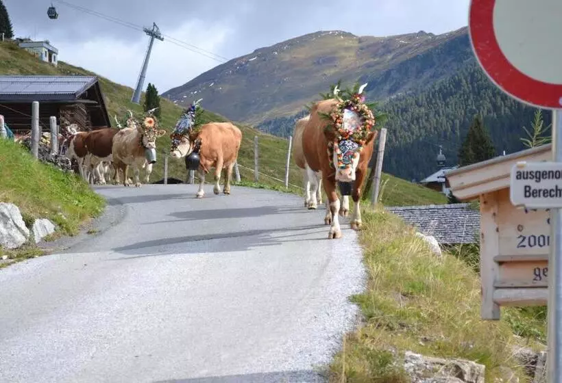 Appartement Hotel Sonneck