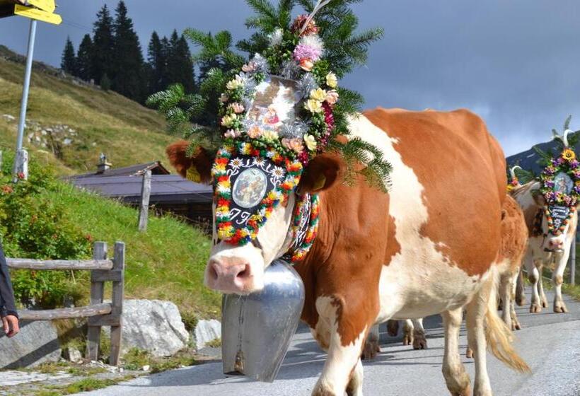 Appartement Hotel Sonneck