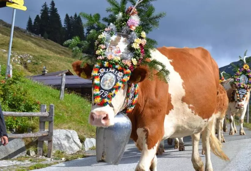 Appartement Hotel Sonneck