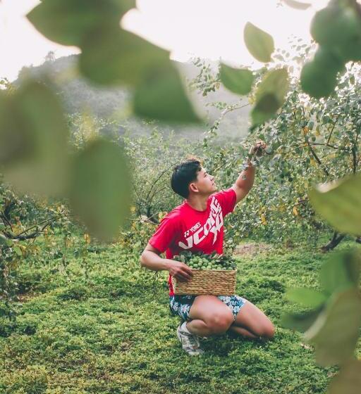 Hotel Thung Nham Resort