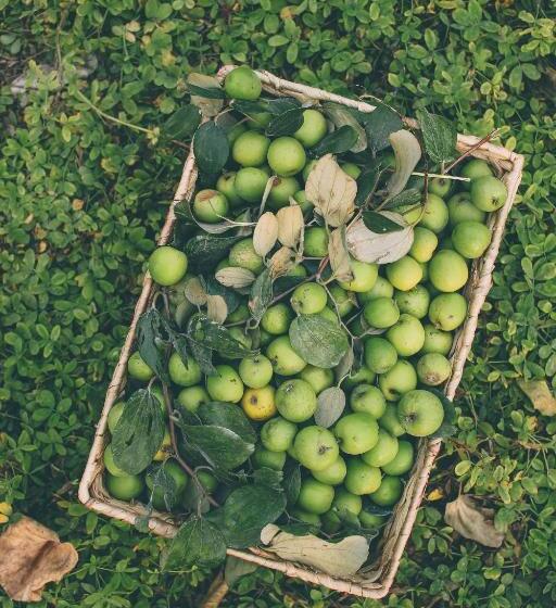 Hotel Thung Nham Resort