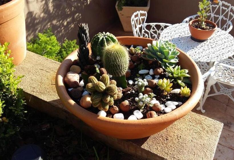 پانسیون Cantinho Delmar