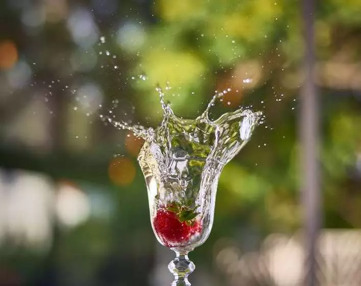 בית מלון כפרי Hilton Sofia