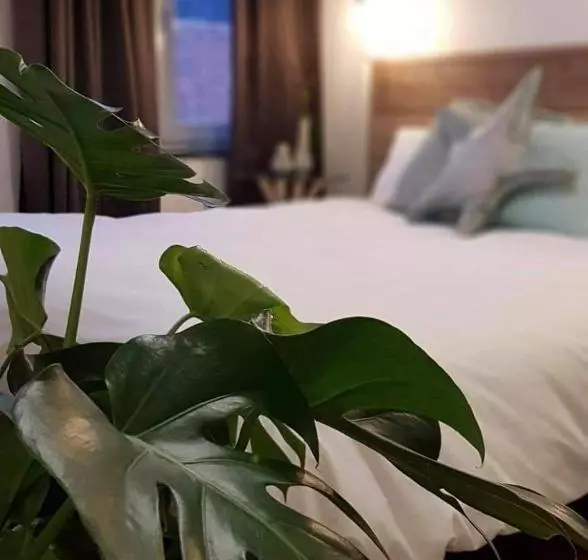 Anthos B&b