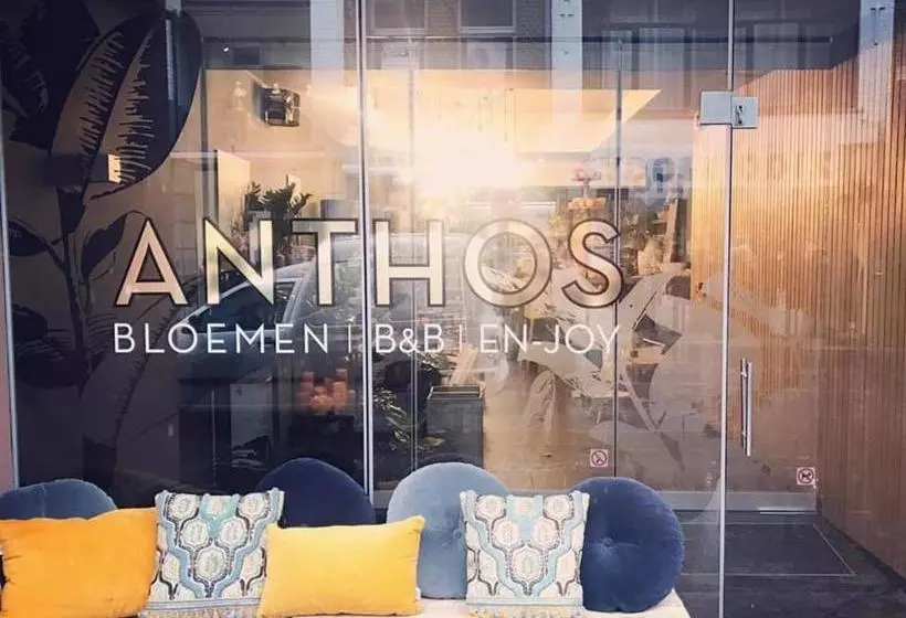 Anthos B&b