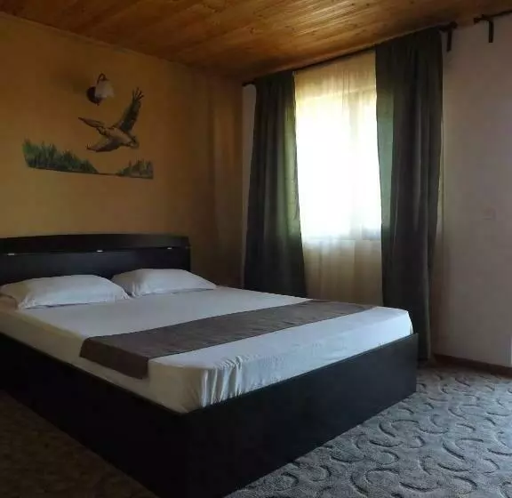 پانسیون Casa Mister