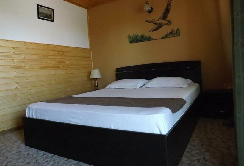 Пансион Casa Mister