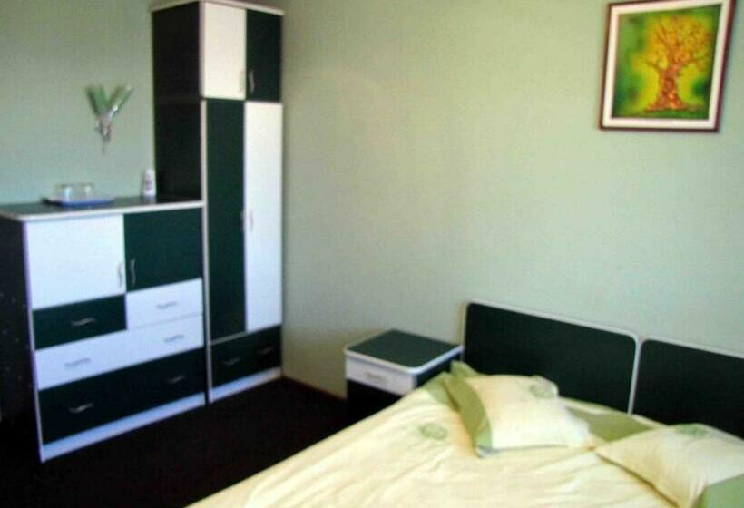 Пансион Casa Oana