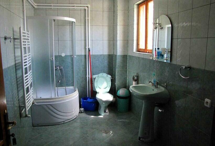 Пансион Casa Oana