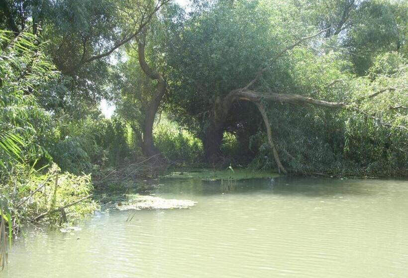 Пансион Casa Oana