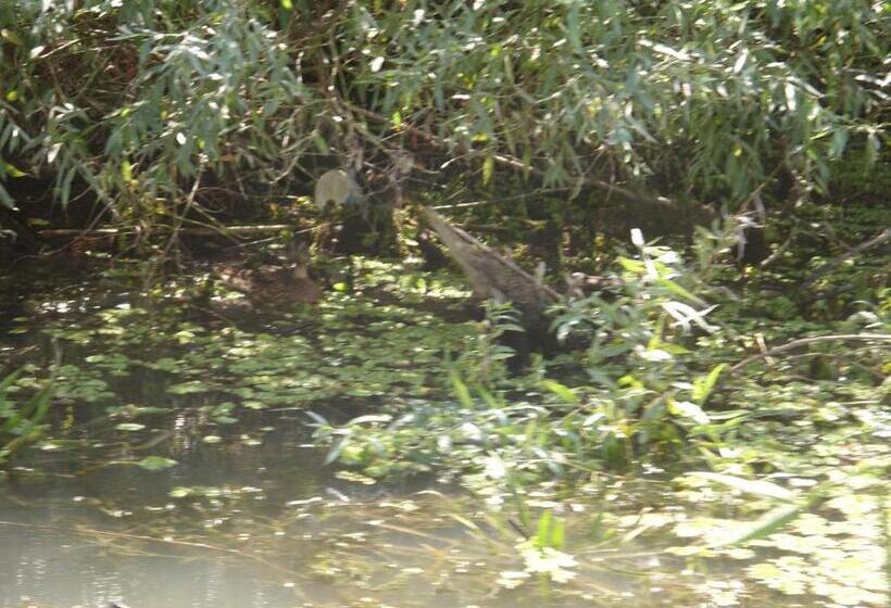 Пансион Casa Oana