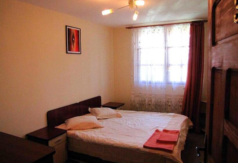 Пансион Casa Oana