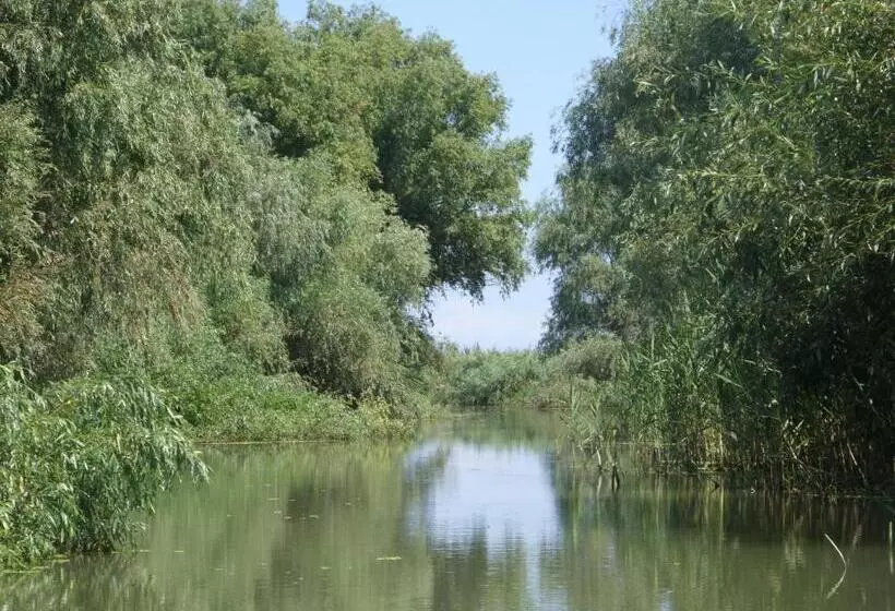 پانسیون Casa Oana